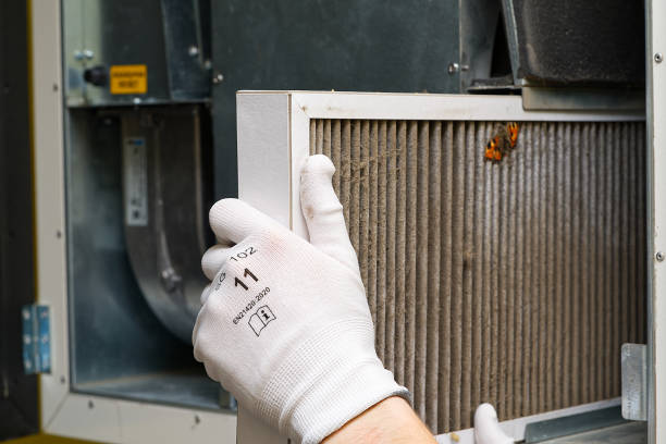 Best Emergency Air Duct Cleaning  in Rockford, MI