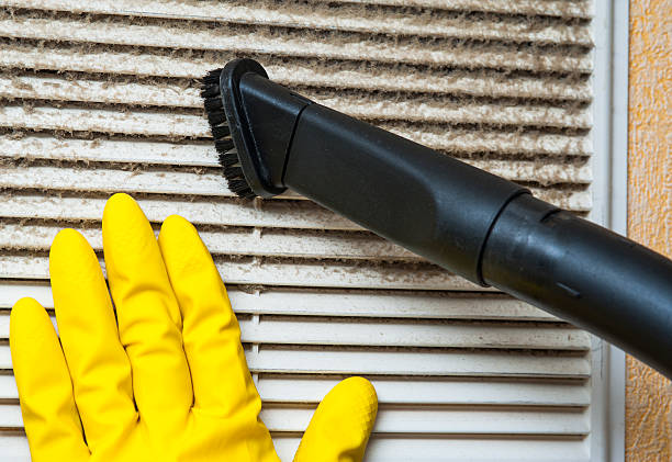 Best Affordable Air Duct Cleaning  in Rockford, MI